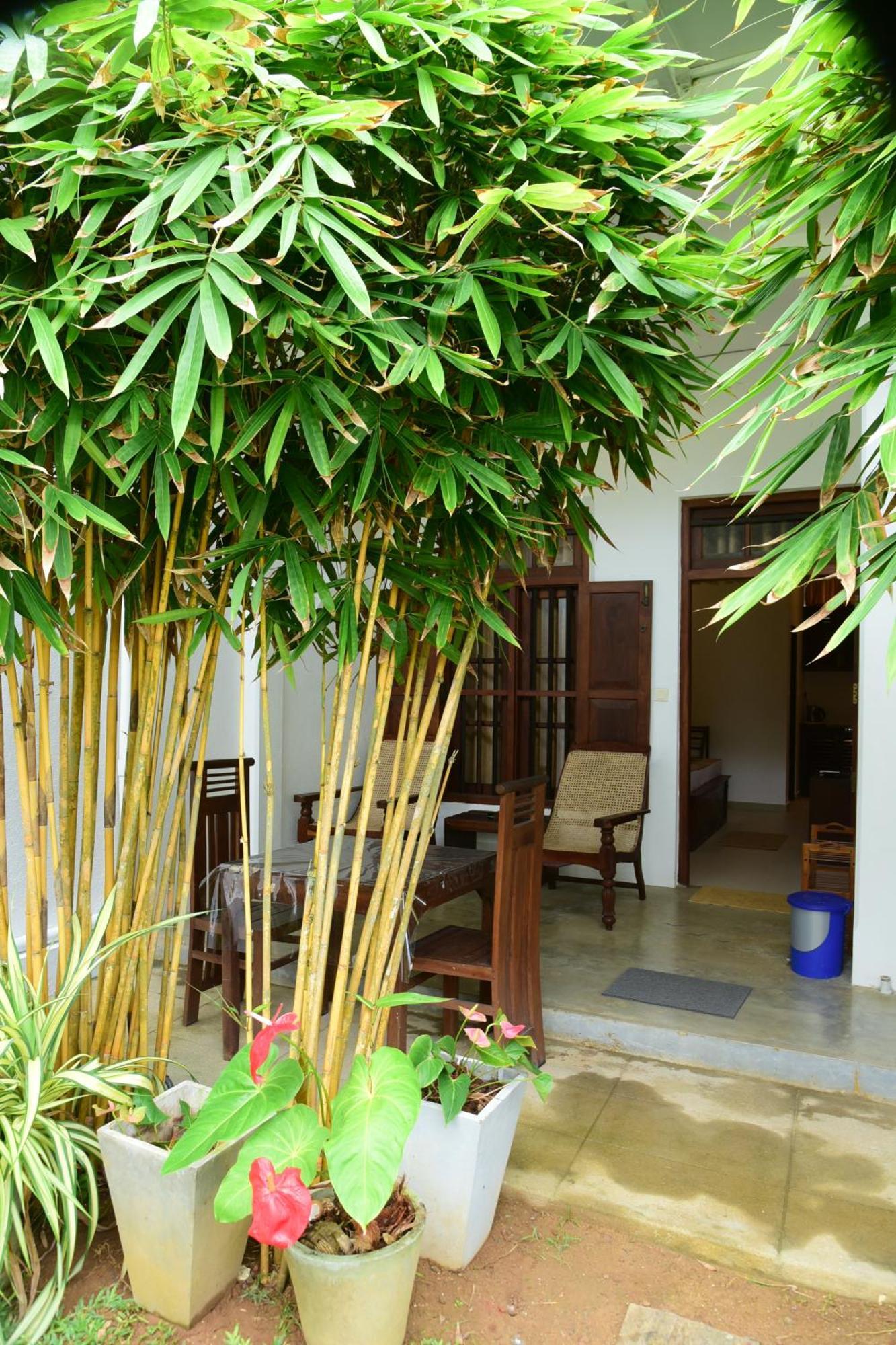Hotel Tranquil à Hikkaduwa Extérieur photo